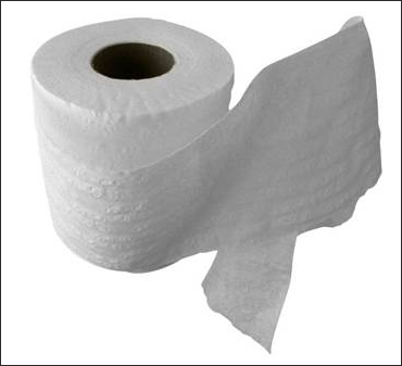 Housing Trivia: Who Invented Toilet Paper